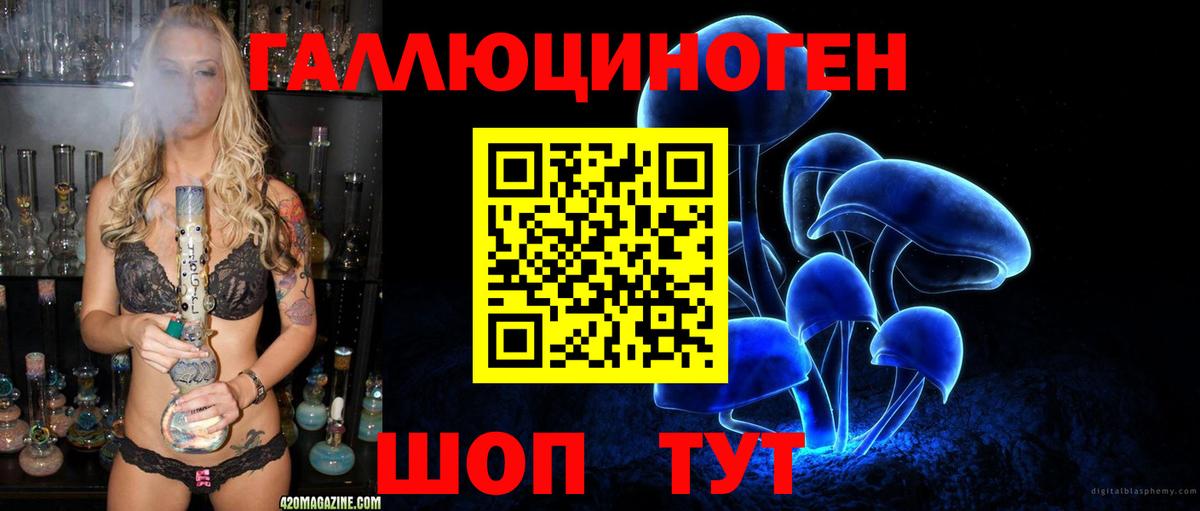 Псилоцибиновые грибы GOLDEN TEACHER Черкесск