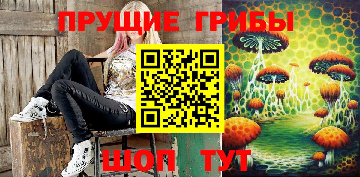 Псилоцибиновые грибы MAGIC MUSHROOMS  Вход с VPN  Черкесск 